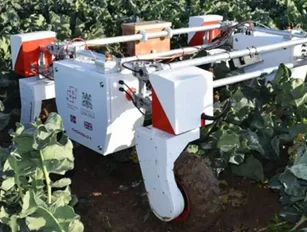Smart food – how tech is transforming agriculture
