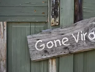 Five Mistakes Businesses Make with Attempting Viral Videos