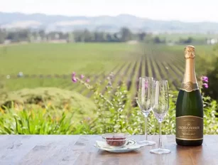 Henkell buys a majority stake in cava producer Freixenet for €220mn