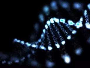 Google Wants Your DNA: Are You Willing to be a Project in the Cloud?