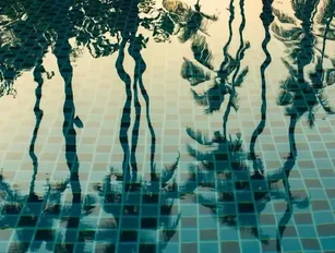 Northwestern Center for Water Research: Tackling the water scarcity in the Middle East and Israel