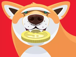 Dogecoin tops Bitcoin: Most searched crypto in 23 US states