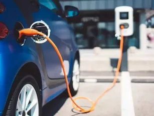 Lessons, tightropes and transformation: challenges for the Electric Vehicle supply chain
