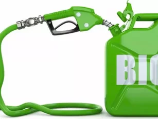 Latin America biofuels highlighted