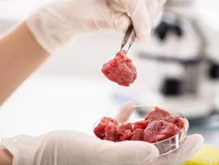 Cultured meat: grow your own in foodtech development