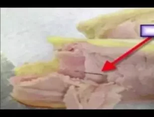 FBI Steps in After Needles Found in Sandwiches on Delta Flights