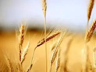 GrainCorp receives AU$2.4bn takeover bid