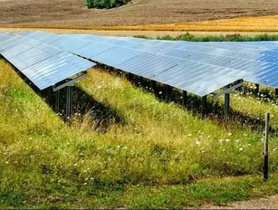 Redavia and GVEP energise Tanzanian food sector