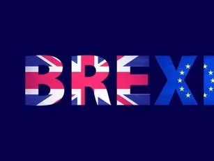 Britain chose Brexit. Now what?