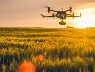 How will IBM support non-profit sustainability strategies?