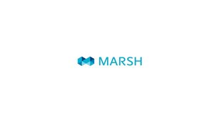 Julien Alzounies discusses transformation at Marsh France