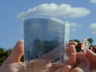 No Limits, Total Abundance: Transparent Solar Windows