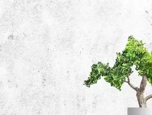 Accenture and Salesforce partner on sustainability solution