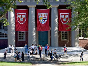 Top executive roles dominated by Harvard alumni