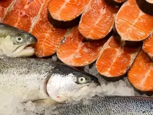 Tassal and Tasmanian Salmon Industry Find Higher Profits in Increased Consumer Demand