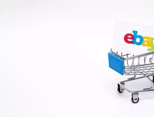 Fueling e-commerce: eBay expands payment management