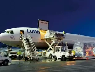 Night flight ban shrinks Frankfurt Airport cargo figures