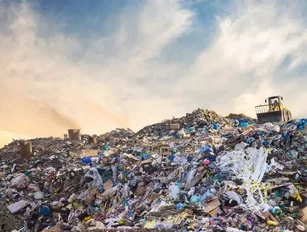 UK food companies including Tesco, Nestle, Unilever and Coca-Cola plan to halve food waste by 2030