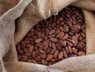 Mondelēz makes deforestation progress in cocoa supply chain