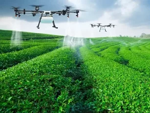 Walmart filed six crop-based drone patents last year