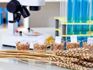 First call issued for 2016 NSF International Food Safety Leadership Awards
