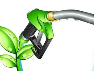 Biofuel research could benefit green supply chain