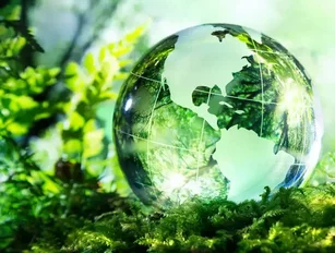 Sustainable procurement 'must be driven by CEOs' - report