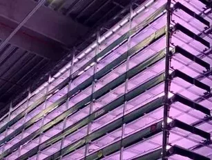 Europe’s largest vertical farm completes first phase