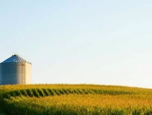 3 Reasons Cargill Joined the Race for Software-Powered Farming