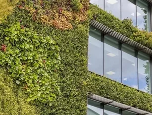 Sustainable design technologies for eco-conscious business