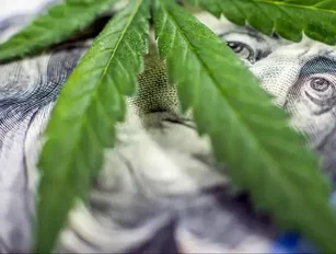 Constellation Brands to buy into Canopy Growth Corporation