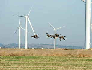 14 renewable firms urge the UK government to enable onshore wind to compete for auction