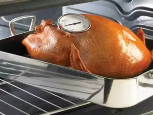 How to Save Energy this Thanksgiving