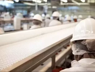 The necessity of sustainable supply chains