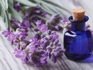 TOP 10: Emerging trends in alternative medicine