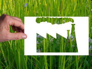 Gartner – How to identify and mitigate greenwashing risks