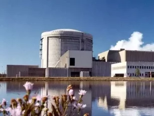 SNC-Lavalin Nuclear Engineers on Strike