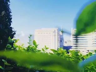 NatWest, Microsoft partner to help UK firms reduce emissions