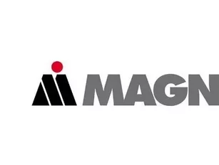 Magna Acquisitions Build Automotive Pump Market Share