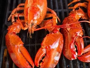 Five facts about the European Union trade deal set to boost Canadian lobster exports