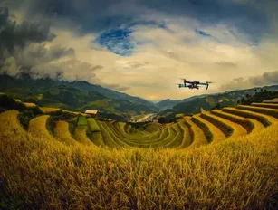 Future farming: Can drones solve the global food crisis?
