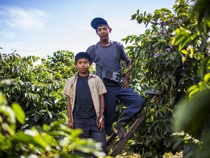 The impact of remittances on investment and development