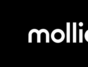 Payment startup Mollie raises US$800m at a $6.5bn valuation