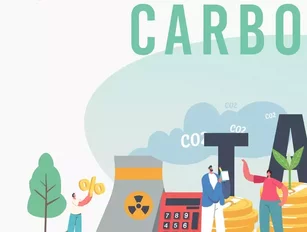 Carbon taxes and meeting the challenges of decarbonisation
