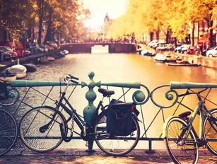 Brexit vote leads the European Medicines Agency to Amsterdam