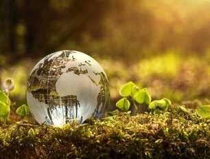 Top 10 Sustainability Influencers