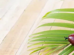 The impenetrable popularity of palm oil manufacturing