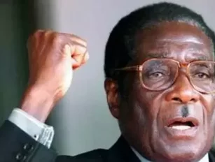 Mugabe&#039;s travel expenses shock Zimbabwe