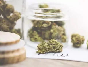 Shoppers Drug Mart names Aphria as its medical cannabis supplier
