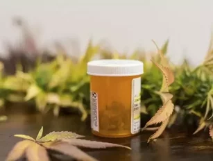 Ontario to open 150 marijuana stores following legalisation